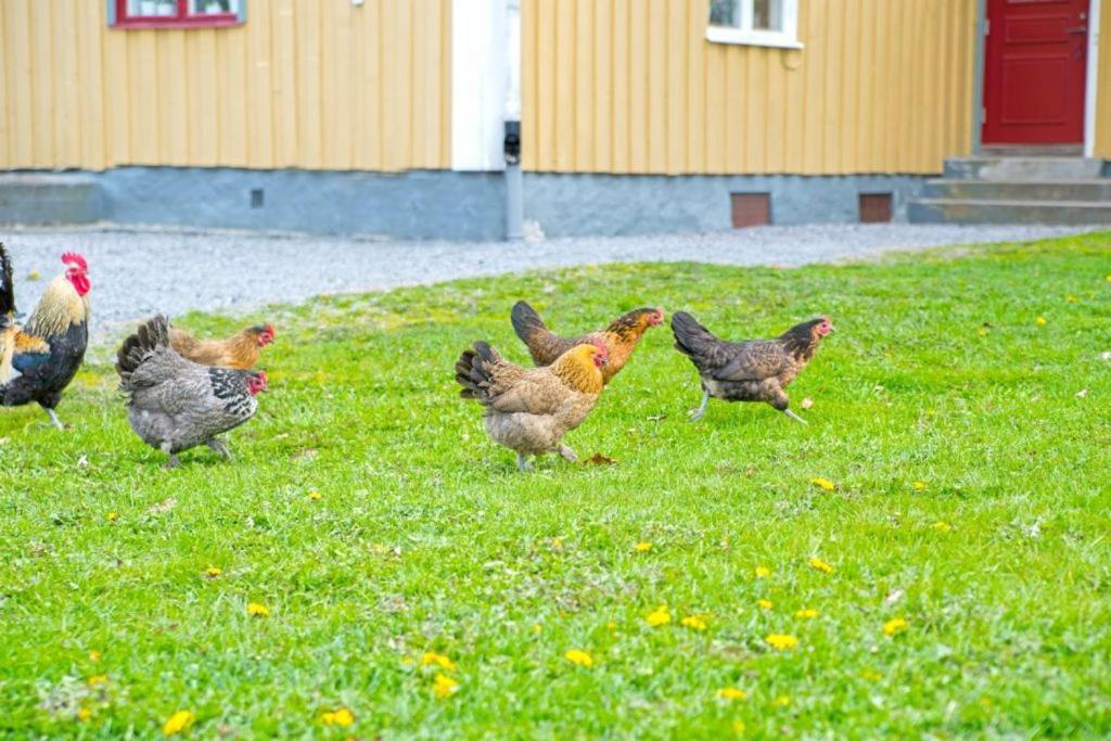 Vaestervik Rum Och Stugor المظهر الخارجي الصورة